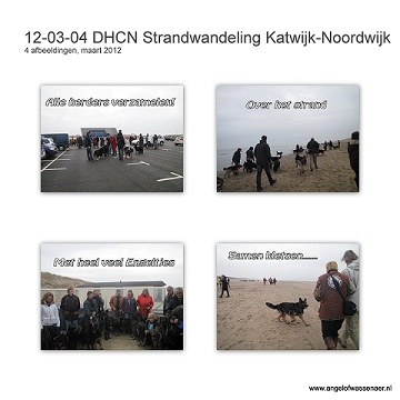 DHCN Strandwandeling Katwijk-Noordwijk met wel 50 Oudduitse Herders